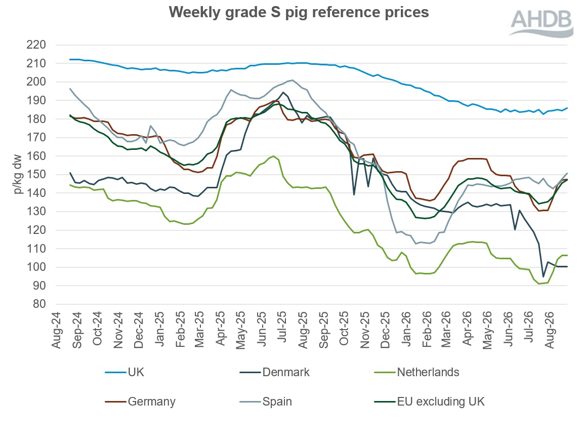 Line graph of EU grade S pig prices for two years up to 30 August 2026.